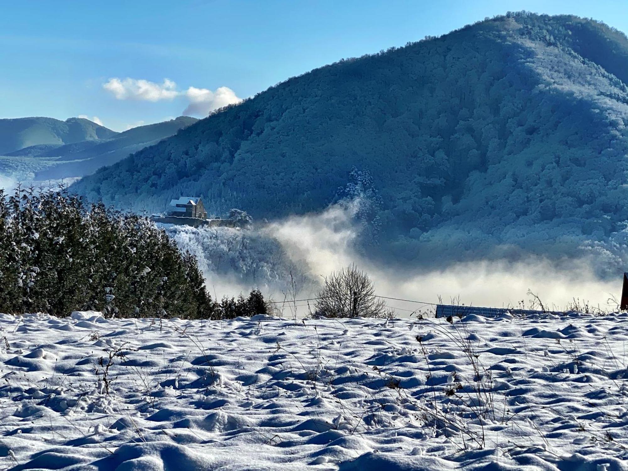 Pensiunea Apfelhaus Cisnadioara Dış mekan fotoğraf