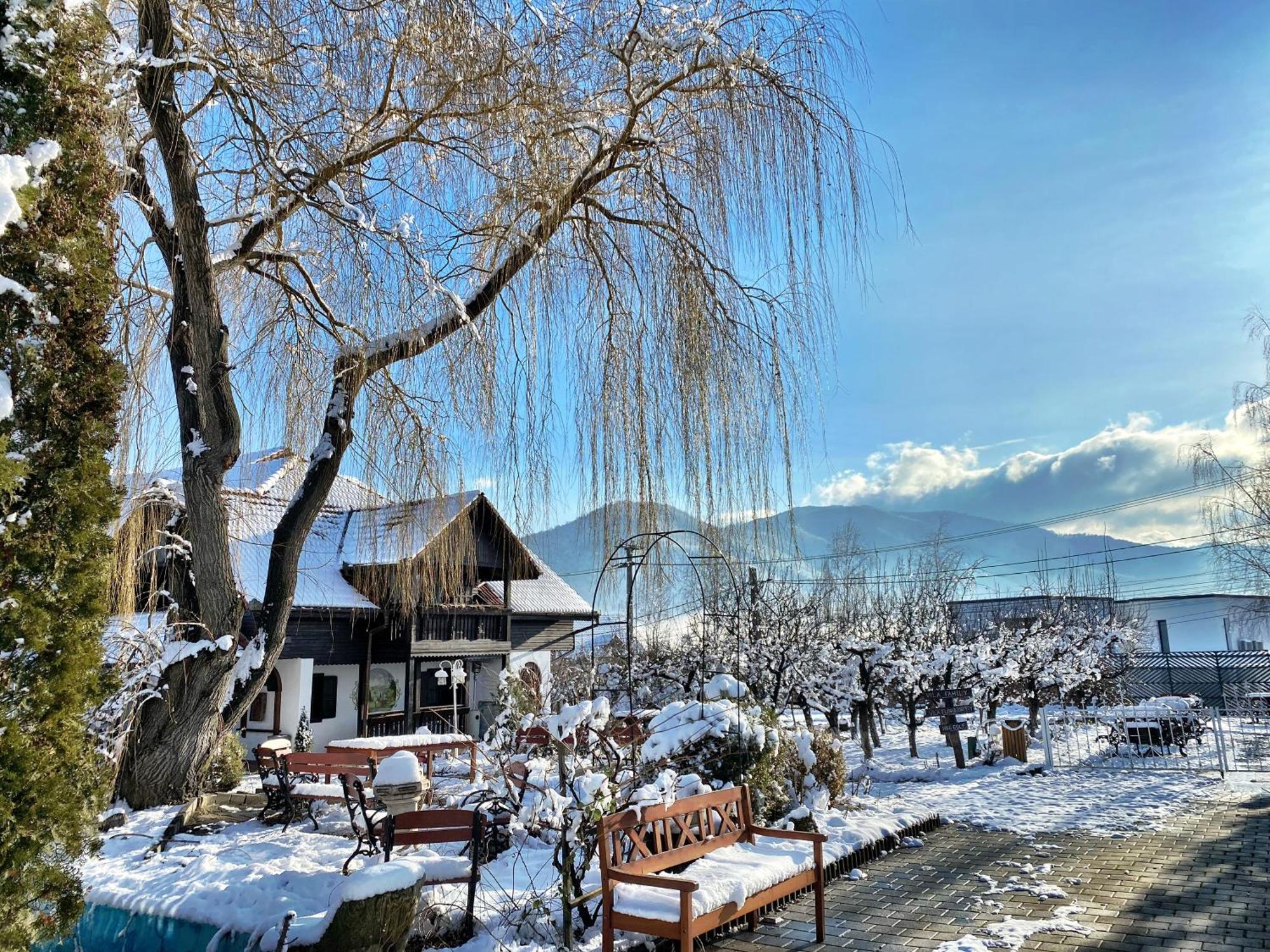 Pensiunea Apfelhaus Cisnadioara Dış mekan fotoğraf