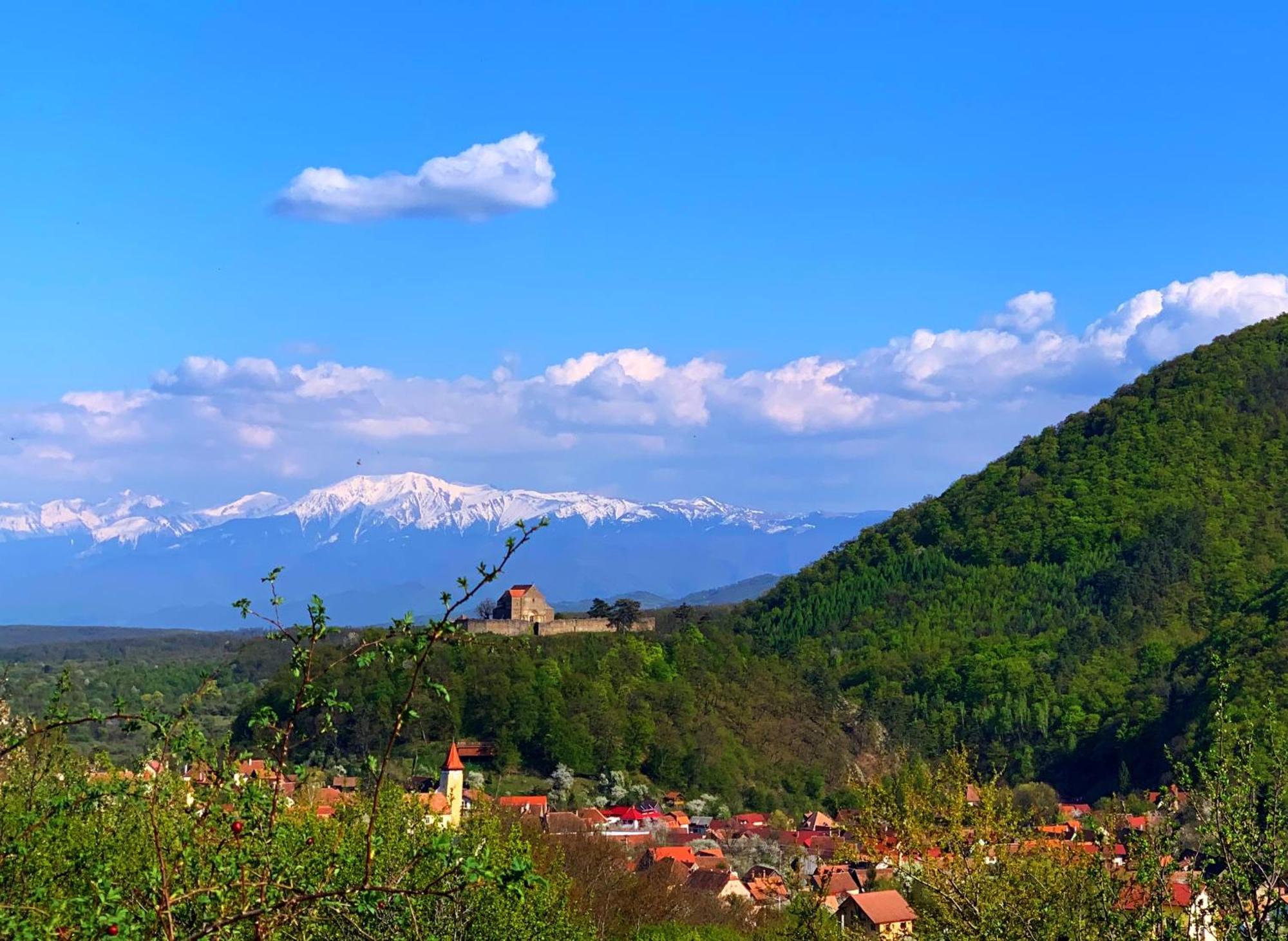 Pensiunea Apfelhaus Cisnadioara Dış mekan fotoğraf